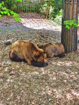 Jednodenní výlet Český Krumlov + Hluboká nad Vltavou